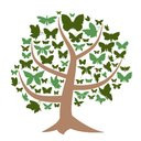 CLIFTON HOMECARE LIMITED