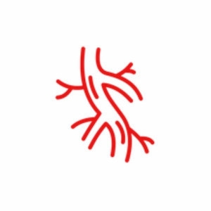 VD MEDICAL LTD