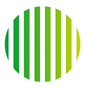 RVT Group