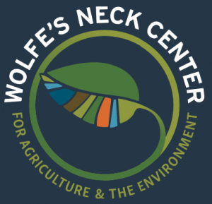 Wolfes Neck Center