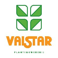 Plantenkwekerij Valstar
