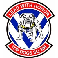 388th Composite Squadron