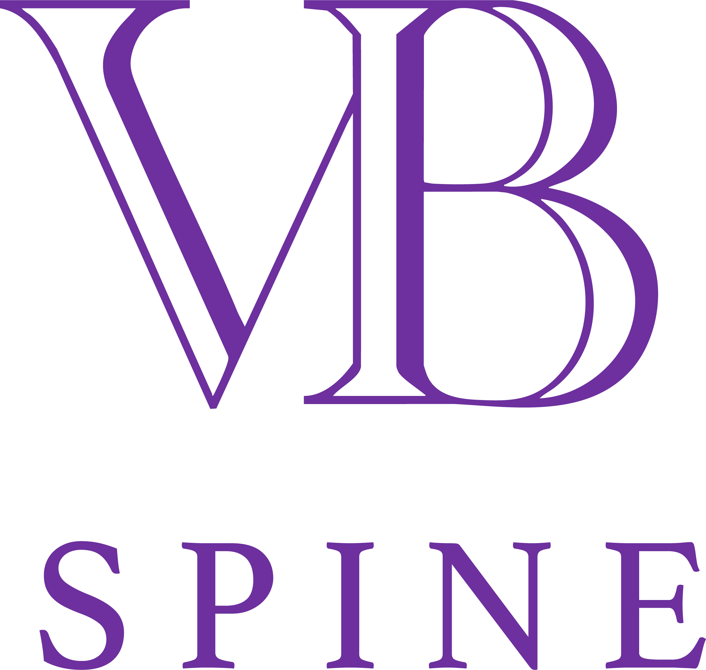 VB Spine, LLC