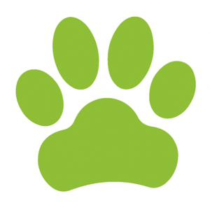 Tullamarine Animal Hospital image