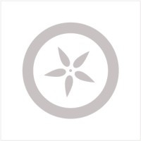 Orchard Therapeutics - U.S.