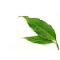 Psychotherapy Associates of North Reading and Amesbury