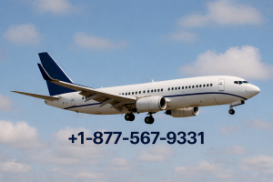 1-877-567-9331~~Norse Atlantic Airways 24/7 Availability Explained