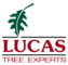 Lucas Tree Experts
