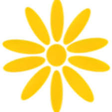 PRIVATE TUTORS ZAMBIA LIMITED