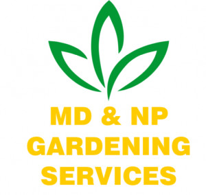 MD&NP Services LTD