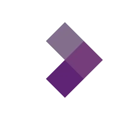 Purple Drive Technologies LLC