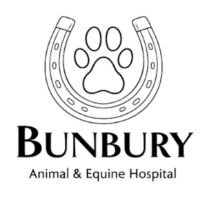 Bunbury Animal Hospital