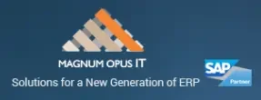 Magnum Opus IT Inc.