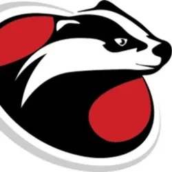 PartsBadger LLC