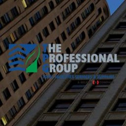 THE PROFESSIONAL GROUP