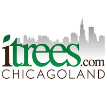 iTrees.com