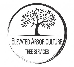 Elevated Arboriculture