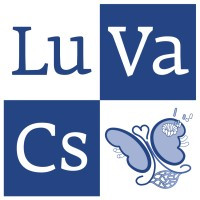 LuVaCs - LUMC Expert Center for Lupus-, Vasculitis- and Complement-mediated Systemic Diseases