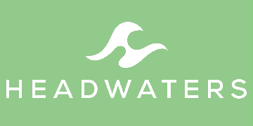 Professional Transition Strategies