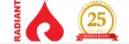 Radiant System, Inc