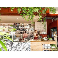 The Green