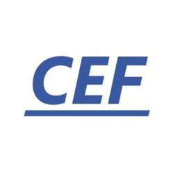 CEF Solutions Inc.