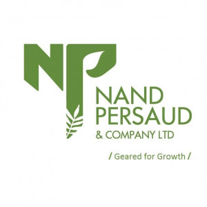 Nand Persaud & Company Limited