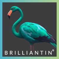Brilliantin Recruitment