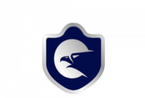 DBK Management Consulting Limited