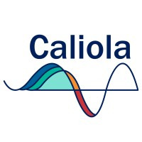Caliola Engineering, LLC