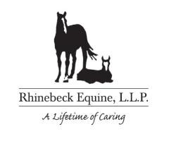 Rhinebeck Equine