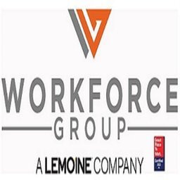 The Workforce Group