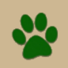Paws Animal Hospital