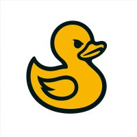 Wild Ducks