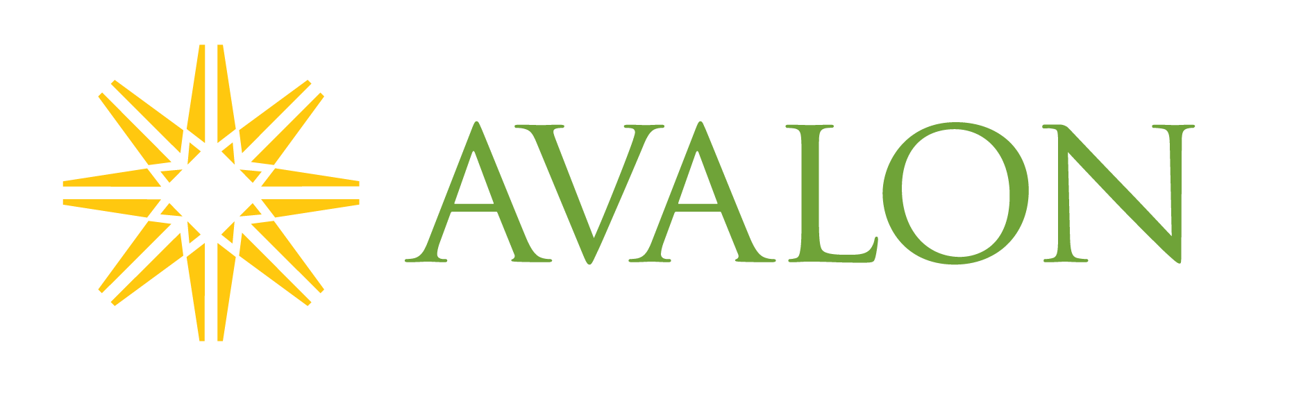 Avalon Consulting Group
