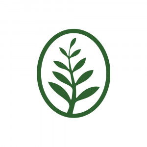 Kauri Chiropractic
