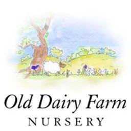 Old Dairy Farm Nursery