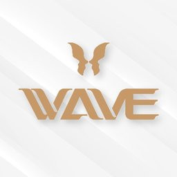 WAVE Plastic Surgery & Laser Center