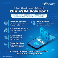 Voxvalley Technologies inc