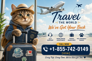 How to Claim Against Expedia