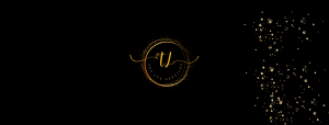 Top Lux Services
