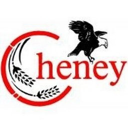 Cheney Government