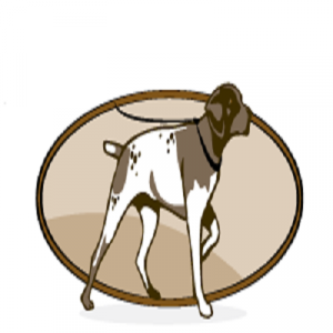 All About Canine Care