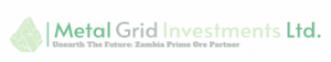 Metal Grid Investments
