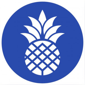 Piney Cyprus Ltd