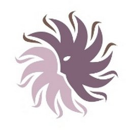 New Mexico Cancer Center