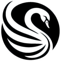 Saras Finance