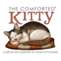 The Comforted Kitty