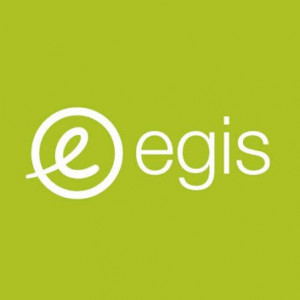 Egis Group
