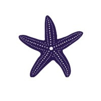 Starfish People HR